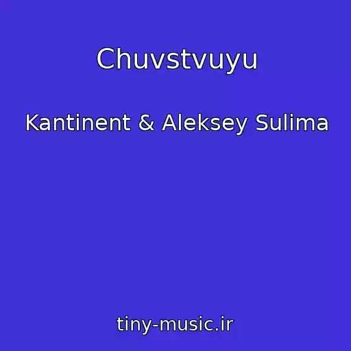 کاور آهنگ Chuvstvuyu از Kantinent & Aleksey Sulima