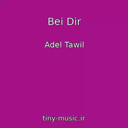 کاور آهنگ Bei Dir از Adel Tawil