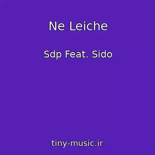 کاور آهنگ Ne Leiche از Sdp Feat. Sido