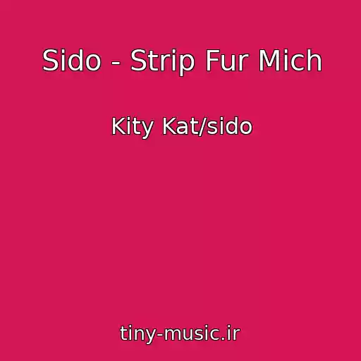 کاور آهنگ Sido - Strip Fur Mich از Kity Kat/sido