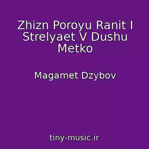 کاور آهنگ Zhizn Poroyu Ranit I Strelyaet V Dushu Metko از Magamet Dzybov