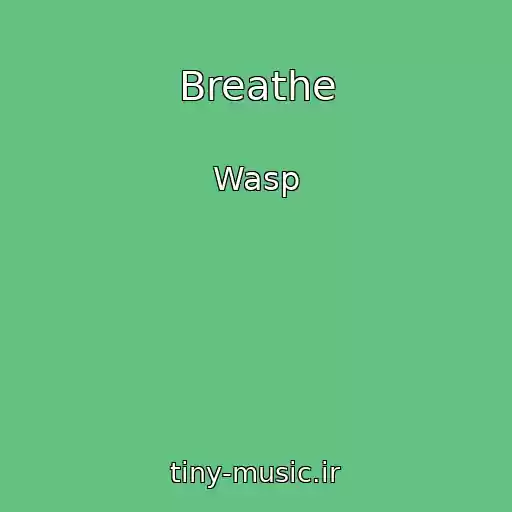 کاور آهنگ Breathe از Wasp