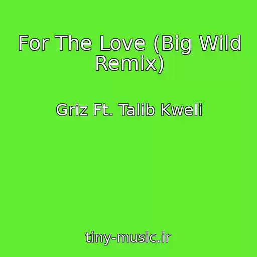 کاور آهنگ For The Love (Big Wild Remix) از Griz Ft. Talib Kweli