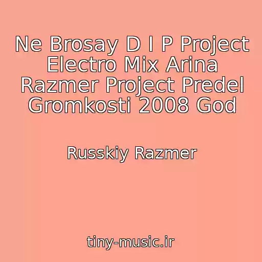 کاور آهنگ Ne Brosay D I P Project Electro Mix Arina Razmer Project Predel Gromkosti 2008 God از Russkiy Razmer