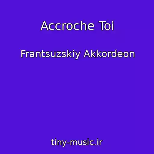 کاور آهنگ Accroche Toi از Frantsuzskiy Akkordeon