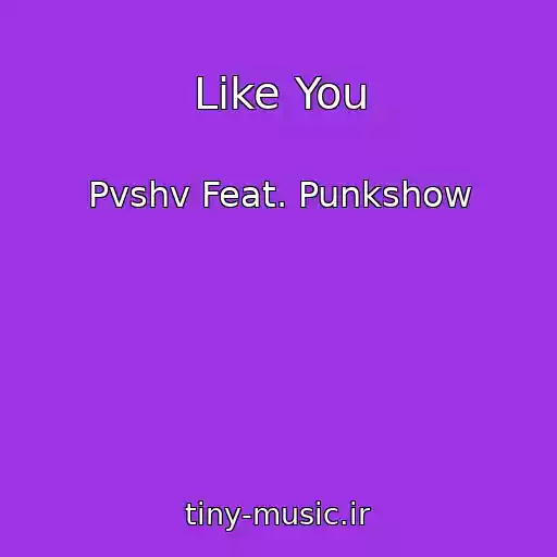 کاور آهنگ Like You از Pvshv Feat. Punkshow