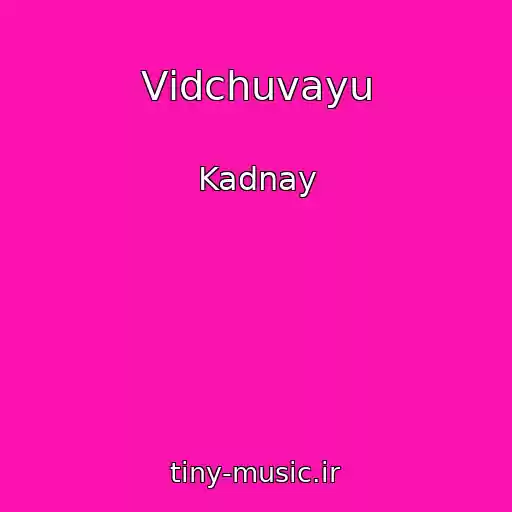 کاور آهنگ Vіdchuvayu از Kadnay