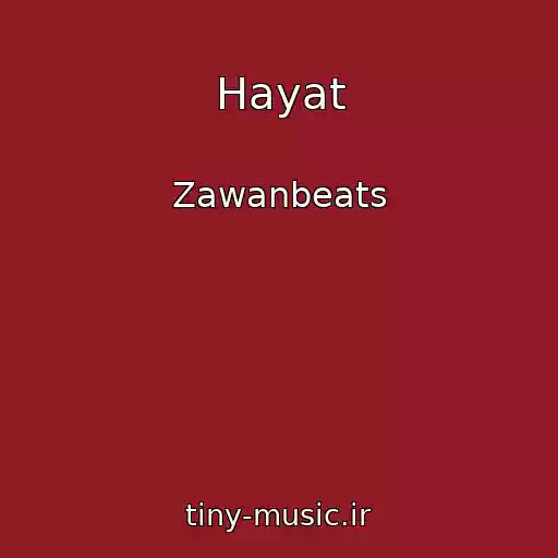 کاور آهنگ Hayat از Zawanbeats