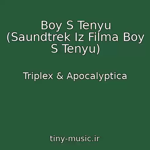 کاور آهنگ Boy S Tenyu (Saundtrek Iz Filma Boy S Tenyu) از Triplex & Apocalyptica