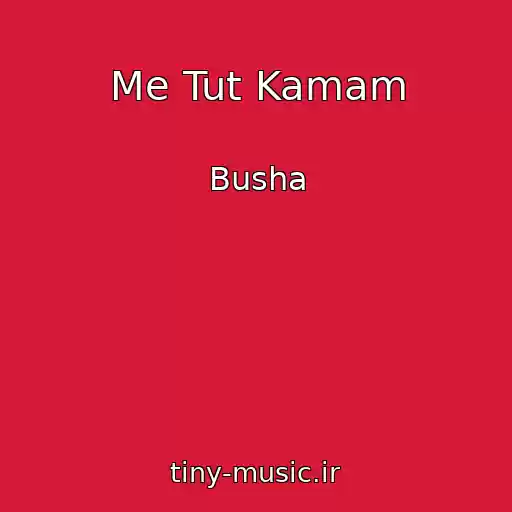 کاور آهنگ Me Tut Kamam از Busha