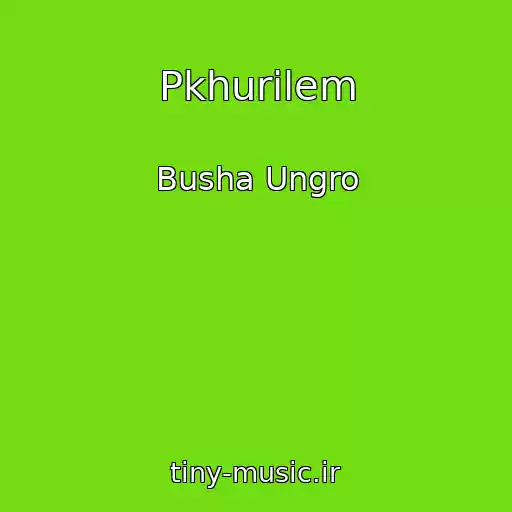 کاور آهنگ Pkhurilem از Busha Ungro