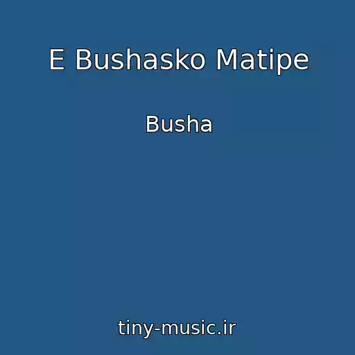 کاور آهنگ E Bushasko Matipe از Busha