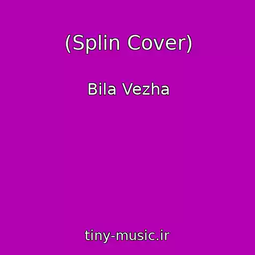 کاور آهنگ (Splin Cover) از Bіla Vezha