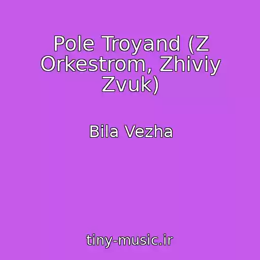 کاور آهنگ Pole Troyand (Z Orkestrom, Zhiviy Zvuk) از Bіla Vezha