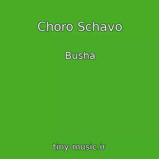کاور آهنگ Choro Schavo از Busha