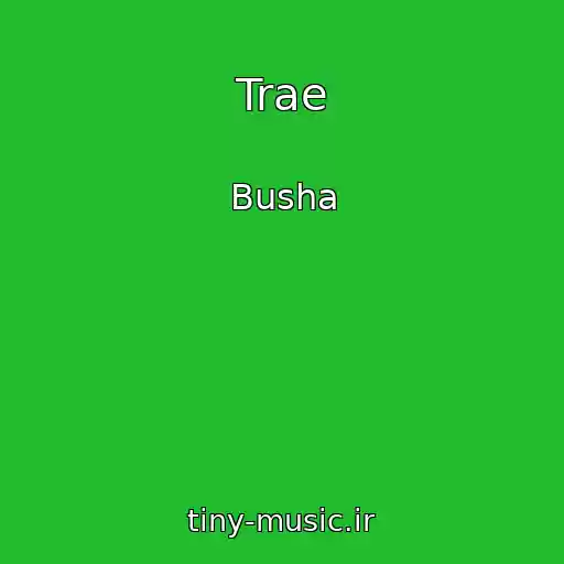 کاور آهنگ Trae از Busha