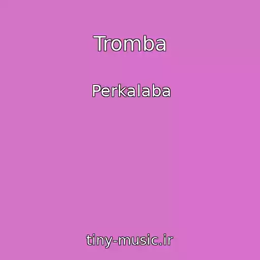 کاور آهنگ Tromba از Perkalaba