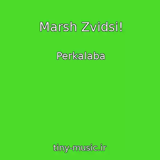 کاور آهنگ Marsh Zvіdsi! از Perkalaba