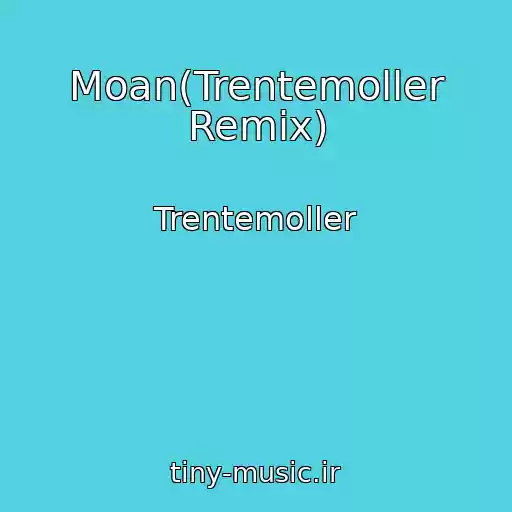 کاور آهنگ Moan(Trentemoller Remix) از Trentemoller