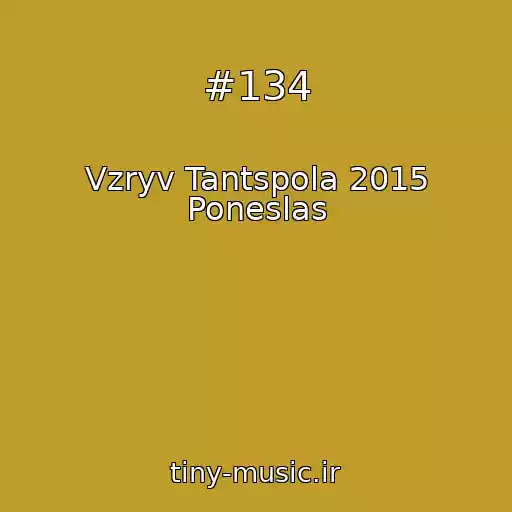 کاور آهنگ #134 از Vzryv Tantspola 2015 Poneslas