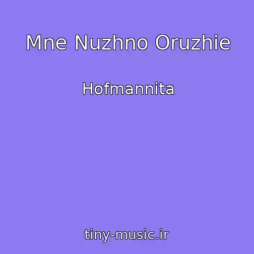 کاور آهنگ Mne Nuzhno Oruzhie از Hofmannita