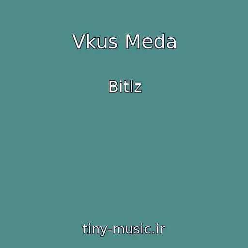 کاور آهنگ Vkus Meda از Bitlz
