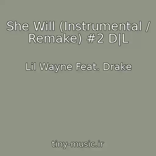 کاور آهنگ She Will (Instrumental / Remake) #2 D|L از Lil Wayne Feat. Drake