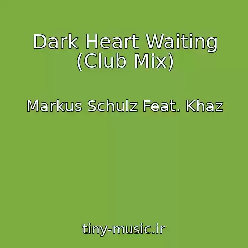 کاور آهنگ Dark Heart Waiting (Club Mix) از Markus Schulz Feat. Khaz