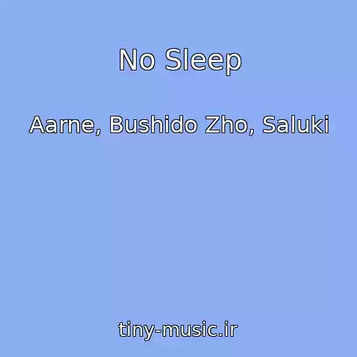 کاور آهنگ No Sleep از Aarne, Bushido Zho, Saluki