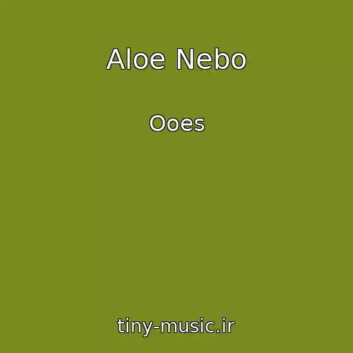 کاور آهنگ Aloe Nebo از Ooes