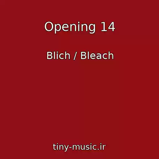 کاور آهنگ Opening 14 از Blich / Bleach