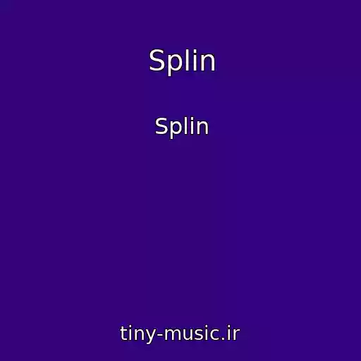 کاور آهنگ Splin از Splin