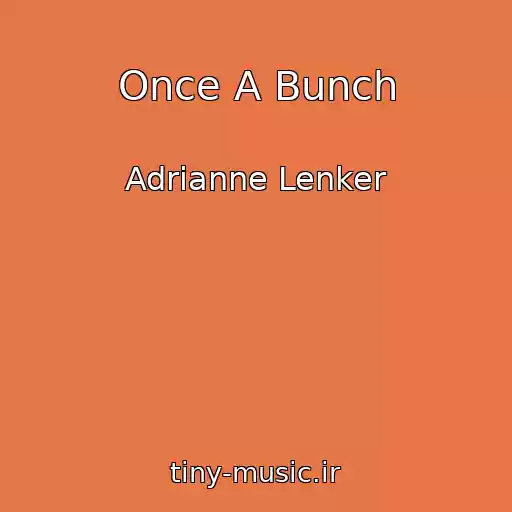 کاور آهنگ Once A Bunch از Adrianne Lenker