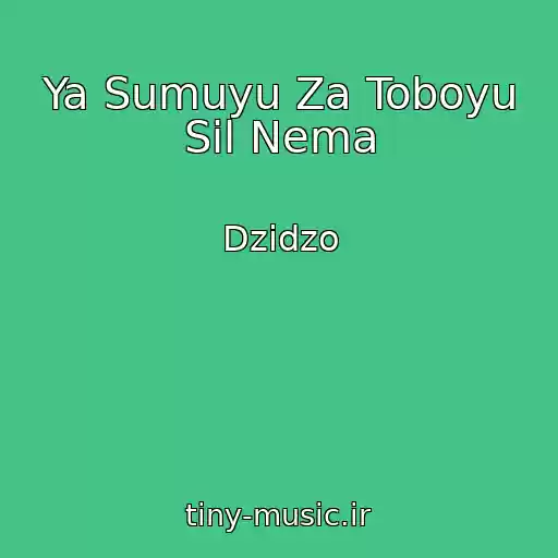 کاور آهنگ Ya Sumuyu Za Toboyu Sil Nema از Dzіdzo