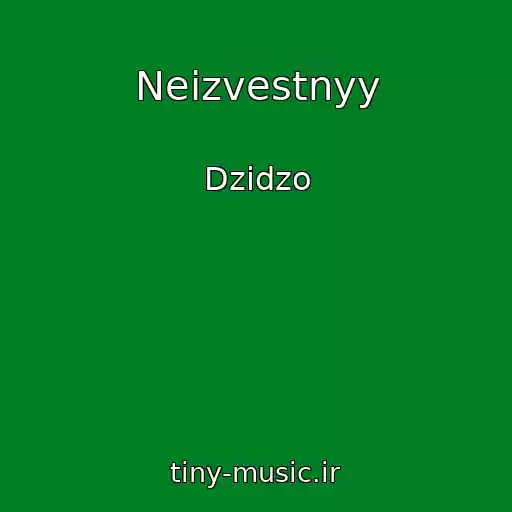 کاور آهنگ Neizvestnyy از Dzidzo