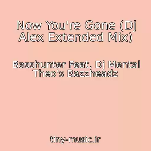 کاور آهنگ Now You're Gone (Dj Alex Extended Mix) از Basshunter Feat. Dj Mental Theo's Bazzheadz