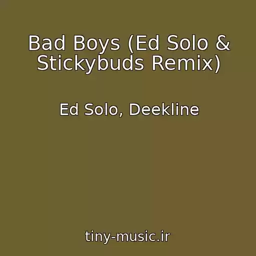 کاور آهنگ Bad Boys (Ed Solo & Stickybuds Remix) از Ed Solo, Deekline