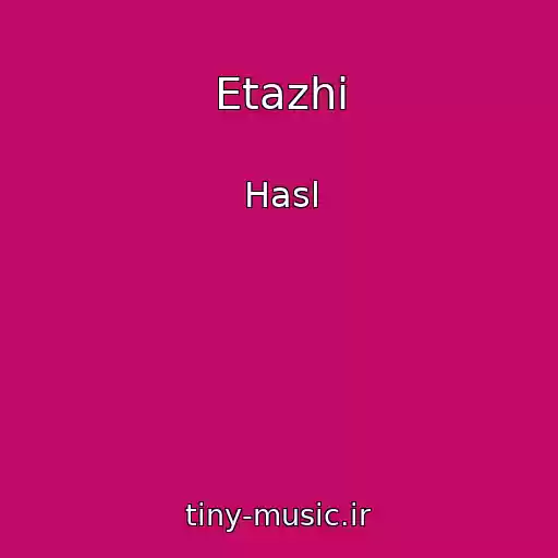 کاور آهنگ Etazhi از Hasl