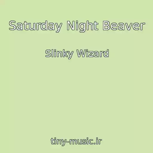 کاور آهنگ Saturday Night Beaver از Slinky Wizard