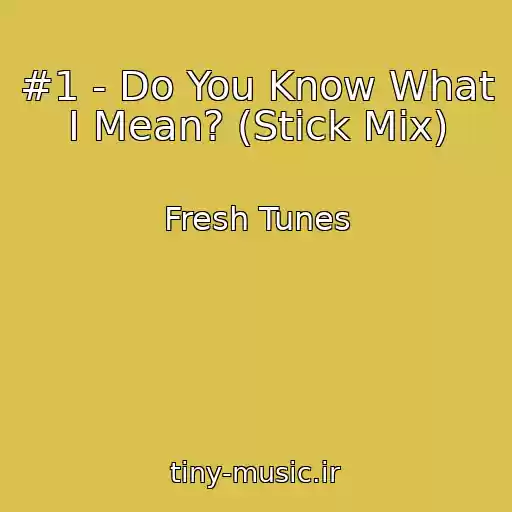 کاور آهنگ #1 - Do You Know What I Mean? (Stick Mix) از Fresh Tunes