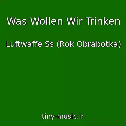 کاور آهنگ Was Wollen Wir Trinken از Luftwaffe Ss (Rok Obrabotka)