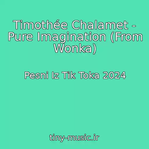 کاور آهنگ Timothée Chalamet - Pure Imagination (From Wonka) از Pesni Iz Tik Toka 2024