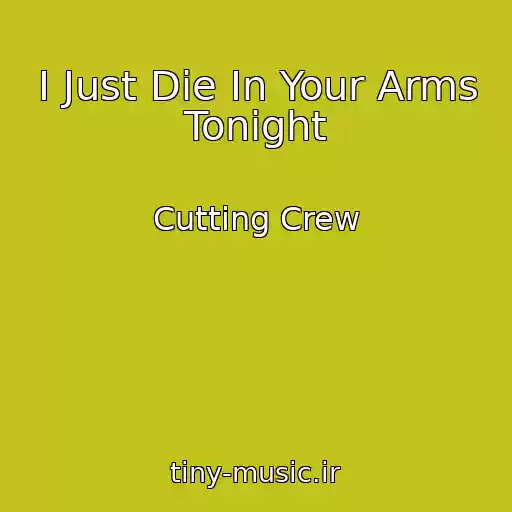 کاور آهنگ I Just Die In Your Arms Tonight از Cutting Crew