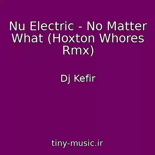 کاور آهنگ Nu Electric - No Matter What (Hoxton Whores Rmx) از Dj Kefir
