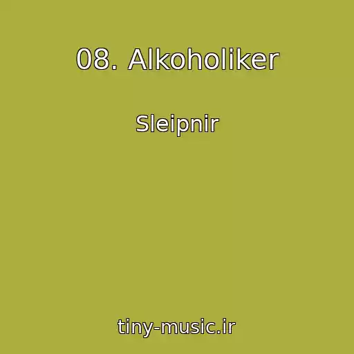 کاور آهنگ 08. Alkoholiker از Sleipnir
