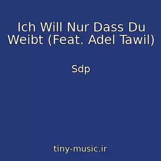 کاور آهنگ Ich Will Nur Dass Du Weibt (Feat. Adel Tawil) از Sdp