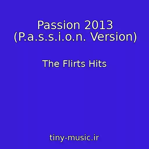 کاور آهنگ Passion 2013 (P.a.s.s.i.o.n. Version) از The Flirts Hits