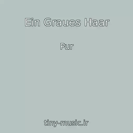 کاور آهنگ Ein Graues Haar از Pur