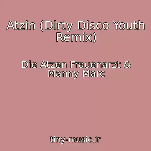 کاور آهنگ Atzin (Dirty Disco Youth Remix) از Die Atzen Frauenarzt & Manny Marc
