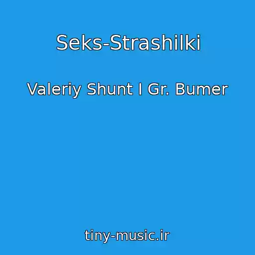 کاور آهنگ Seks-Strashilki از Valeriy Shunt I Gr. Bumer